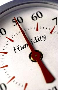 home dehumidification system, Boston, Milford MA